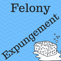 Image of a sponge and the caption "Felony Expungement."